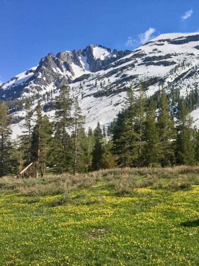 GUIDE TO BACKPACKING KENNEDY LAKE, CA