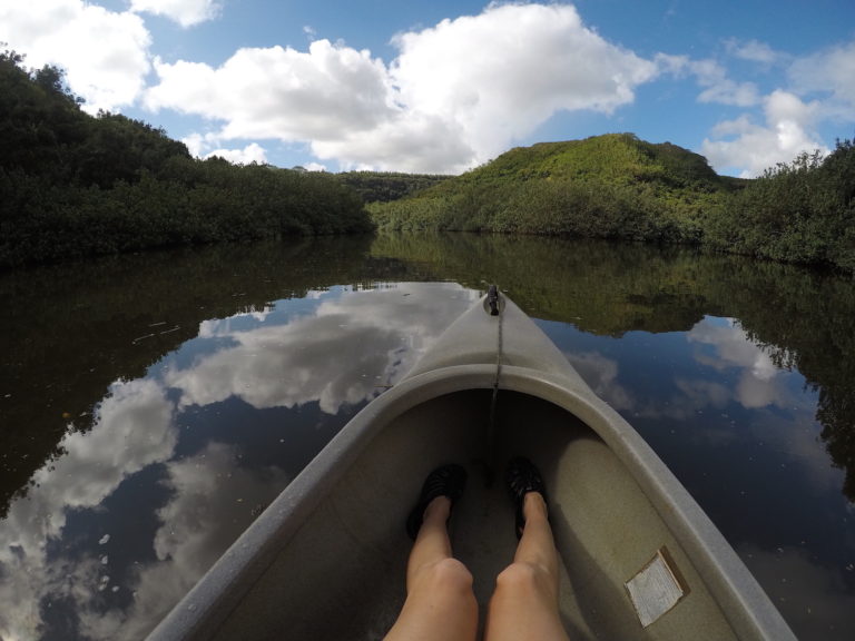 The Best Waterfalls to see in Kauai