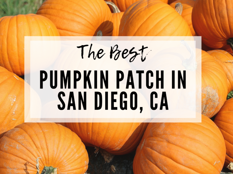 WHAT TO DO FOR FALL IN SAN DIEGO