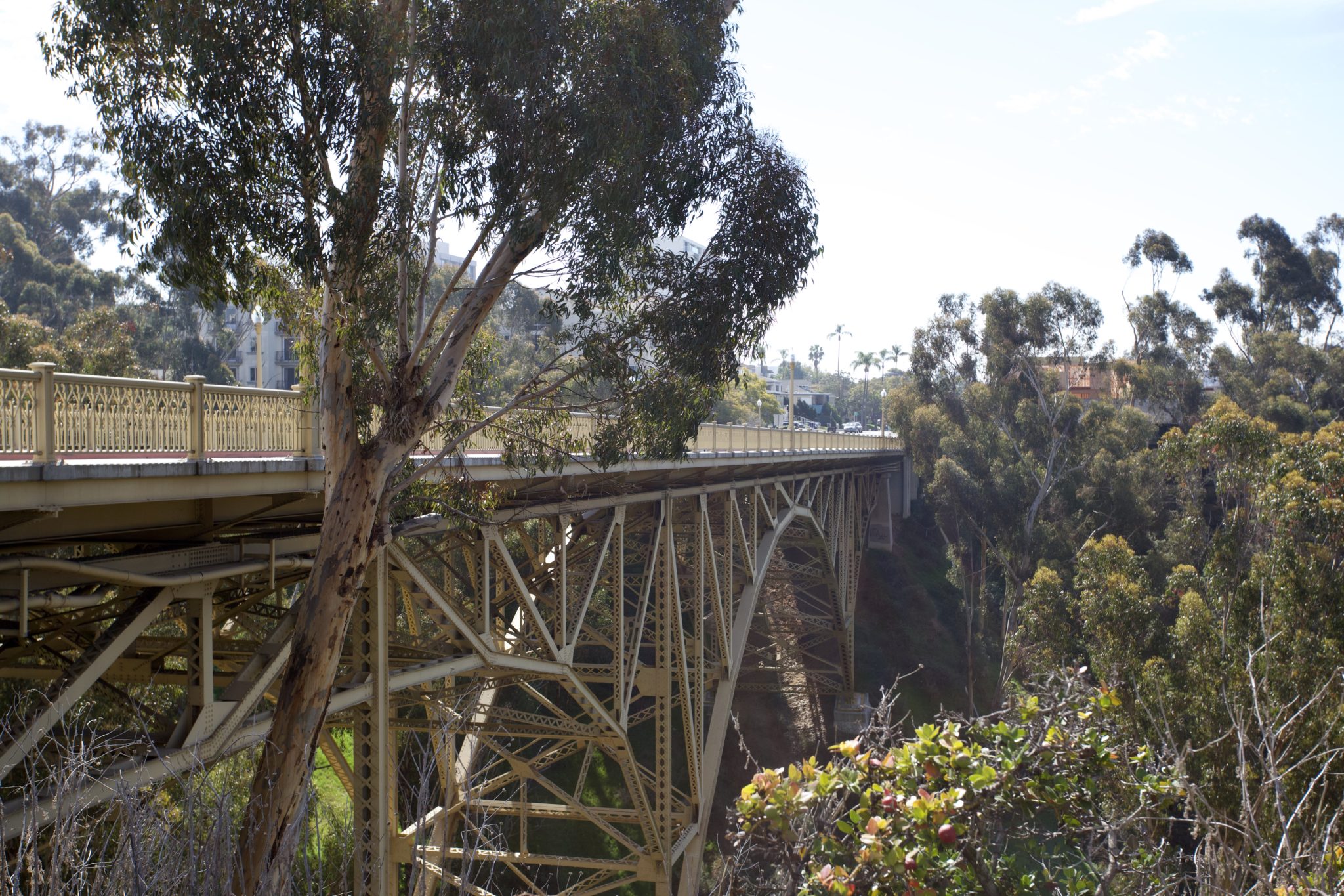 COMPLETE GUIDE TO 7 BRIDGES WALK IN SAN DIEGO Chelsey Explores