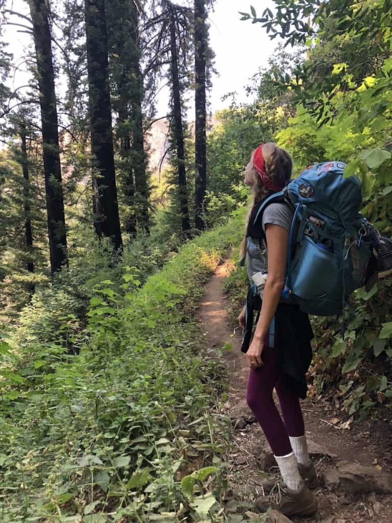 Chelsey Explores on a backpacking trip looking up at the trees along the trail