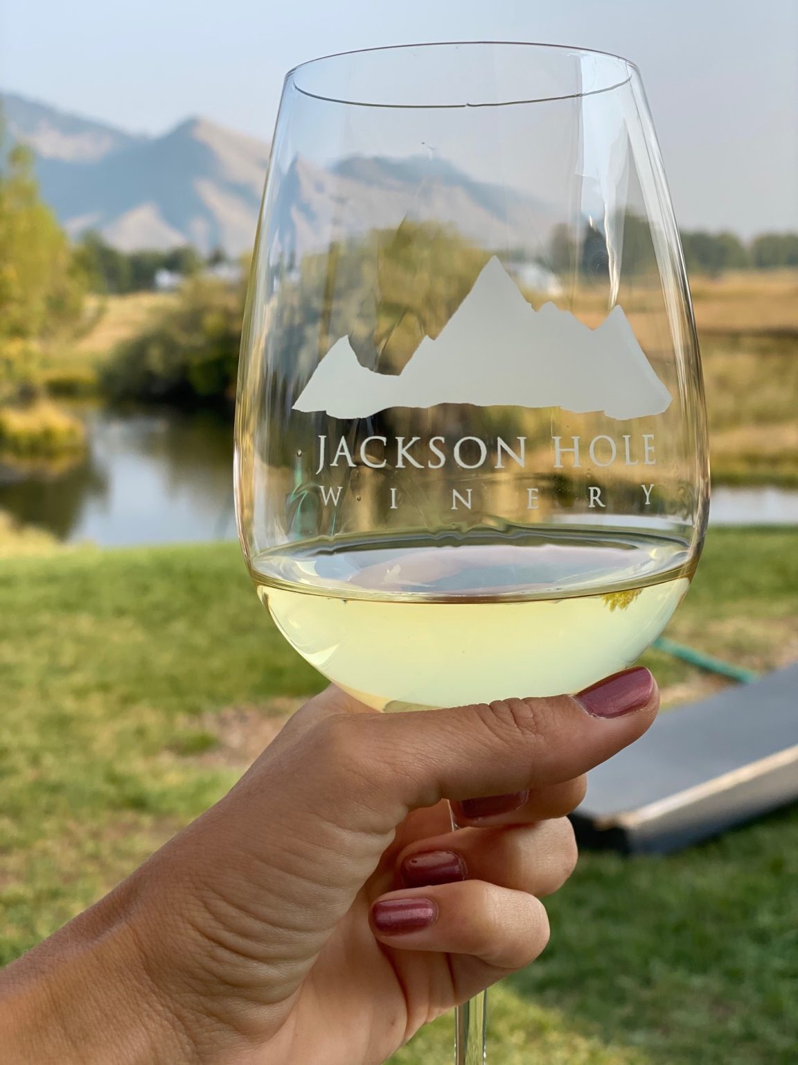 FIRST TIMER’S GUIDE A COMPLETE JACKSON HOLE ITINERARY FOR FALL