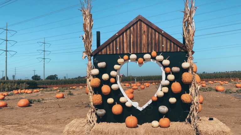 10 BEST FALL IN SAN DIEGO EVENTS