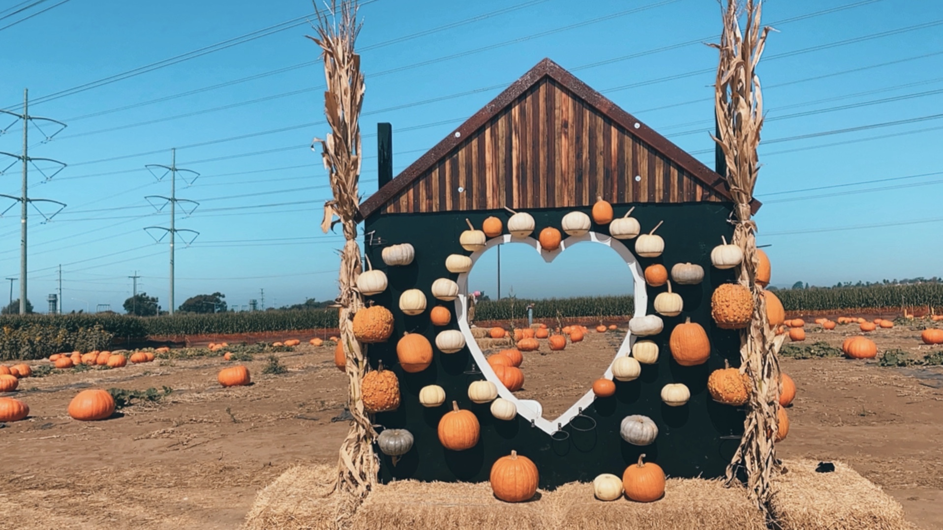10 BEST FALL IN SAN DIEGO EVENTS
