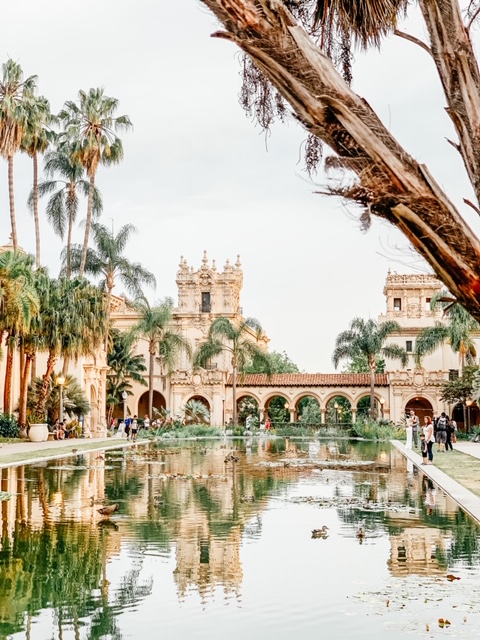 Pond and palm trees in Balboa Park