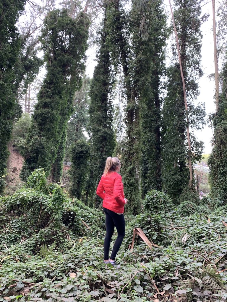 Chelsey standing in trees inn Mt Sutro Forest which is one of the best hikes in San Francisco