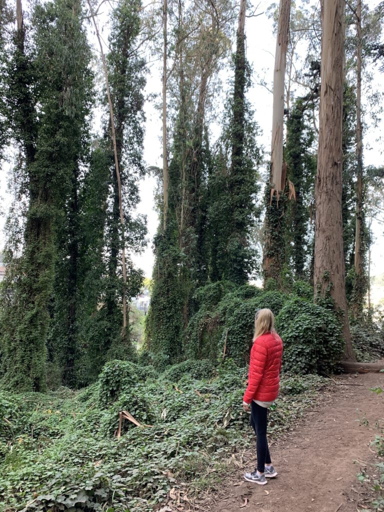 Chelsey hiking in Mt Sutro Forest which is one of the best hikes in San Francisco