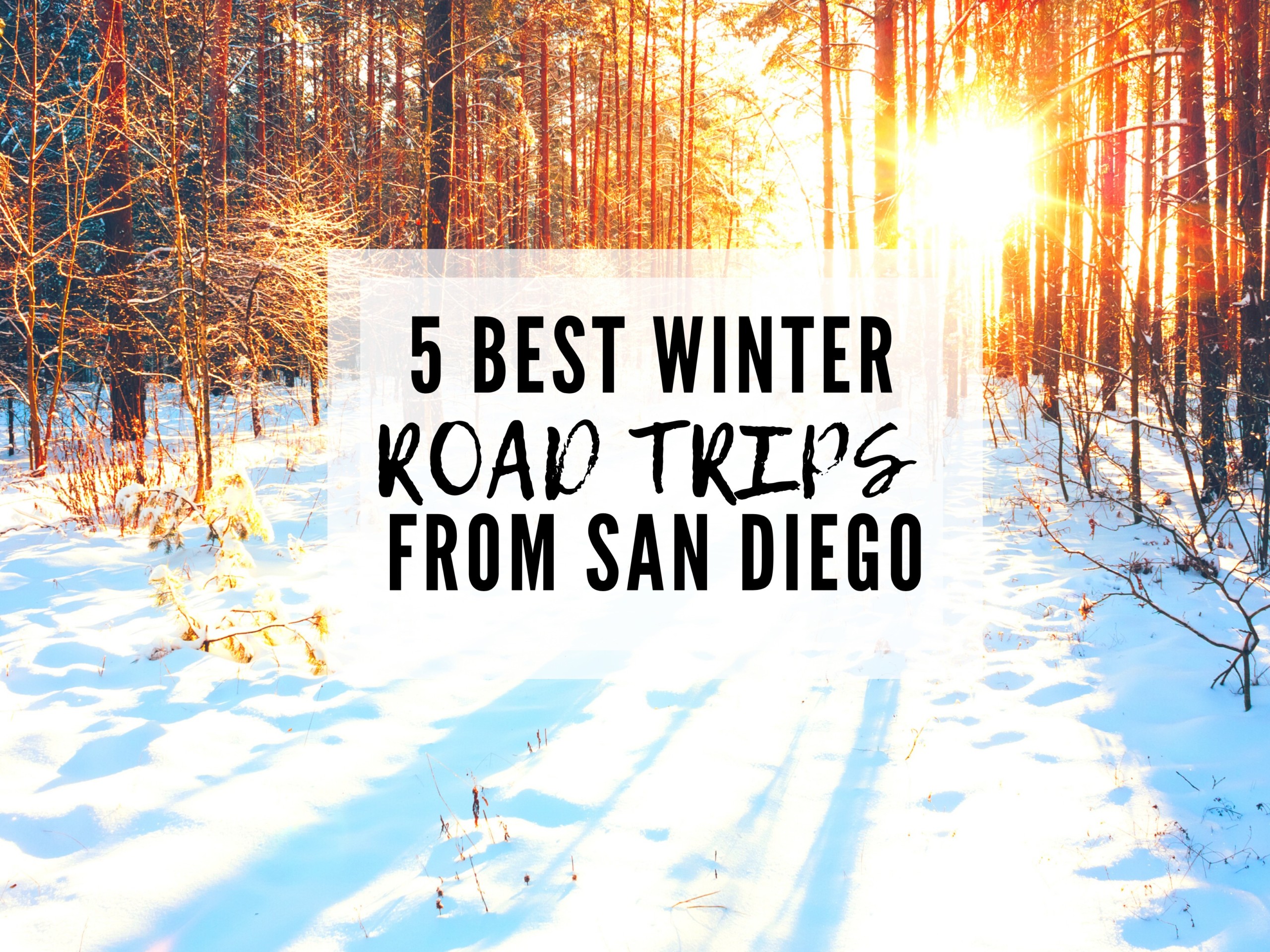 5 Easy Winter Road Trips from San Diego For Snow Activities