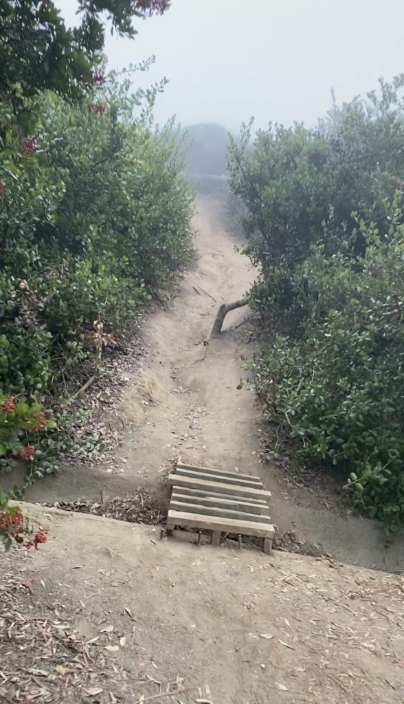 Trail to the La Jolla swings 