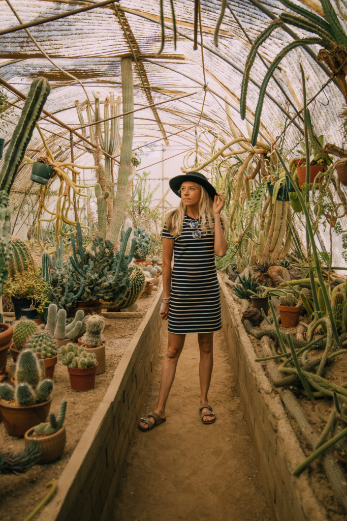 Girl standin gin the Moorten Botanical Garden which is something fun to add to your Palm Springs weekend getaway itinerary