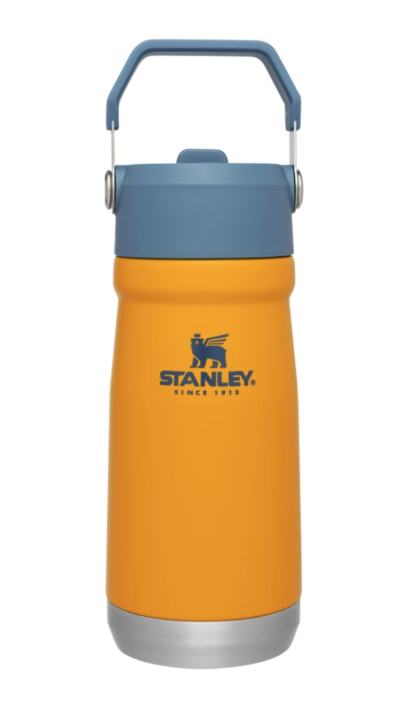 Stanley water jug