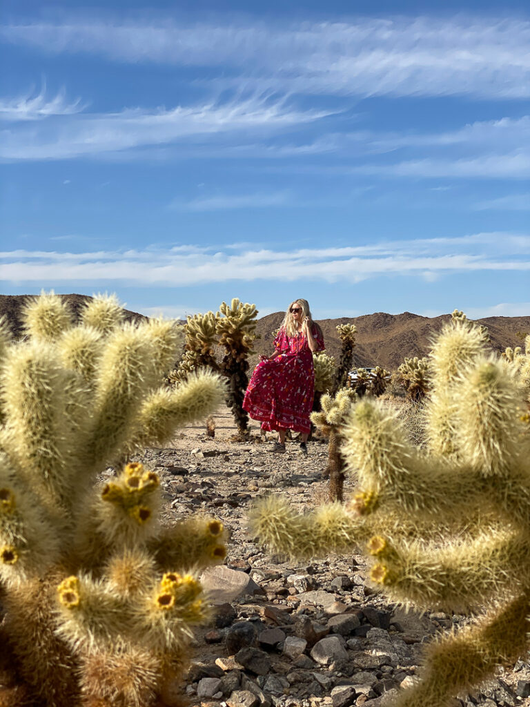 Chelsey in the Cholla Cactus Garden which is one of the best things to see in Joshua Tree