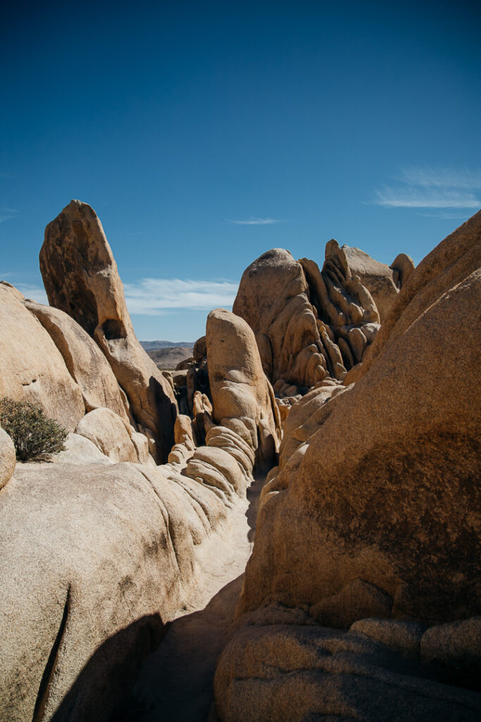 Path of rocks near Arch Rock in Joshua Tree