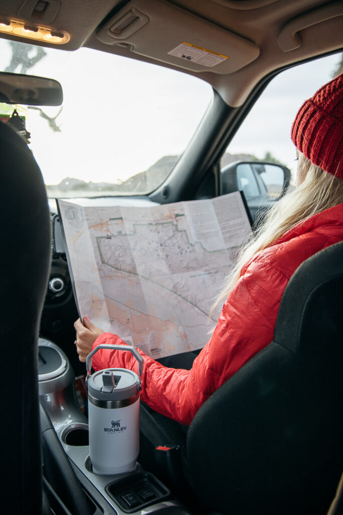 Chelsey in car reading a map with her eco-friendly Stanley water bottle.