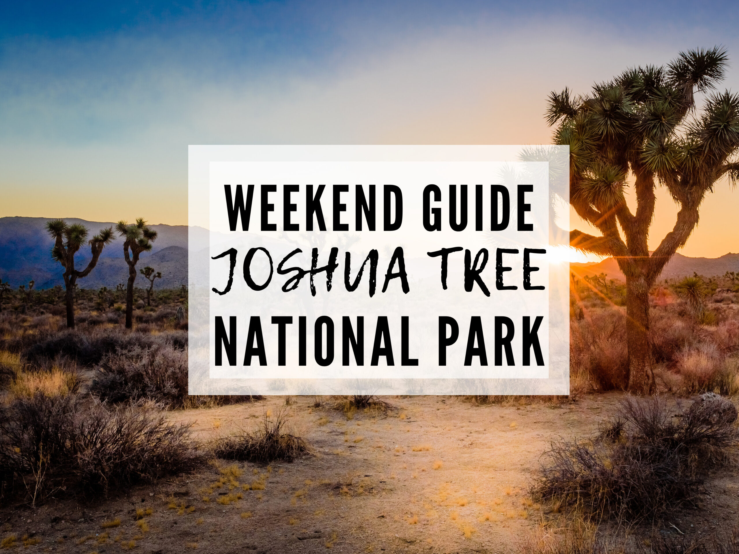 ULTIMATE GUIDE TO THE BEST THINGS TO DO IN JOSHUA TREE