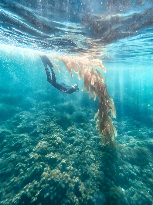 Girl snorkeling which is a popular San Diego water activity