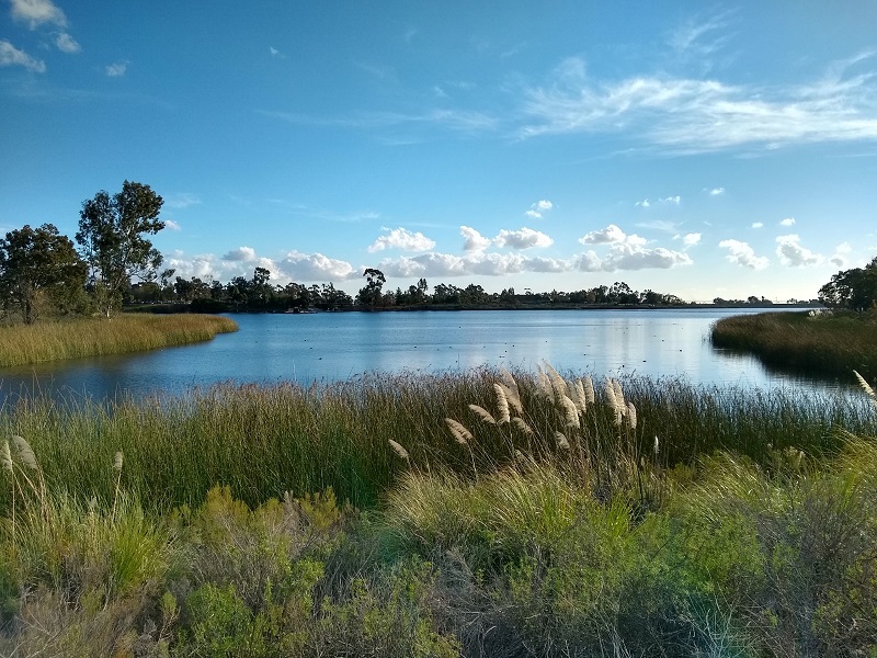 Miramar Lake loop