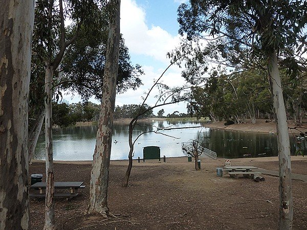 Chollas Lake