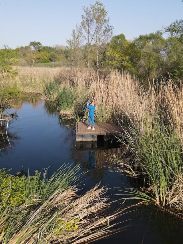 16 Best lakes to explore in San Diego