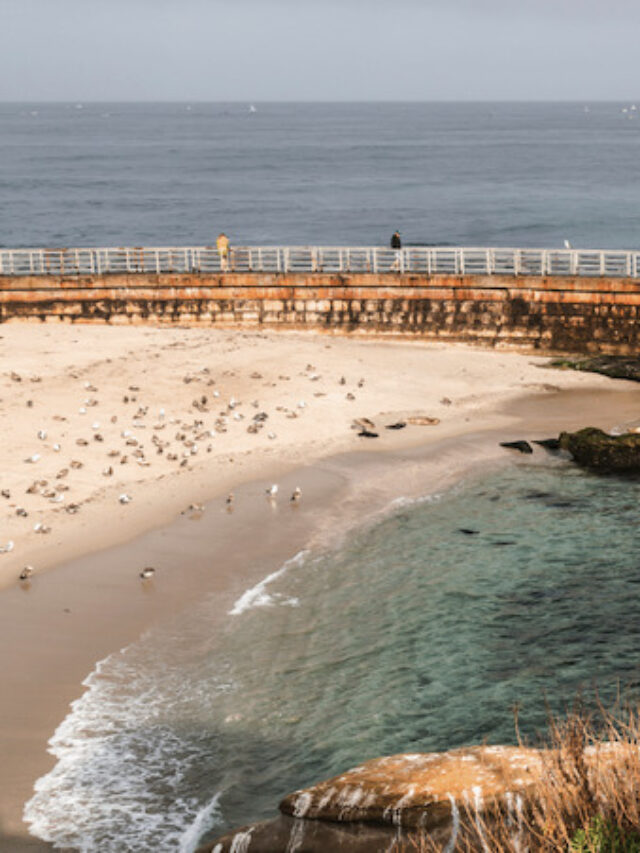 Best things to do in La Jolla