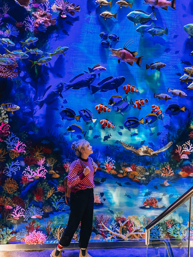 World of Nature Gallery at the Blackhawk museum