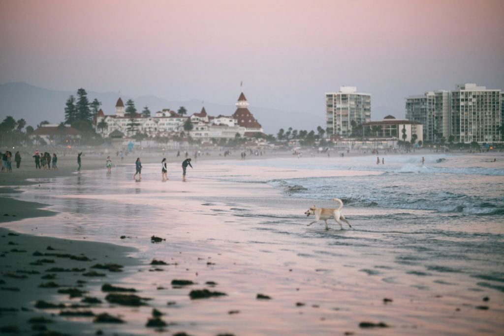 coronado dog beach