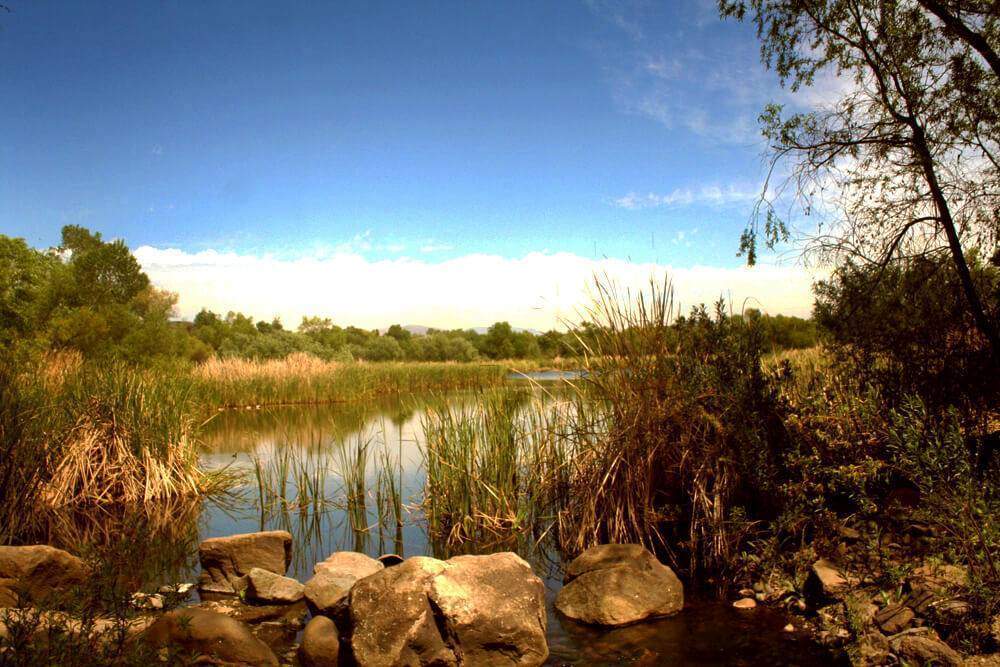 lake kumeyaay