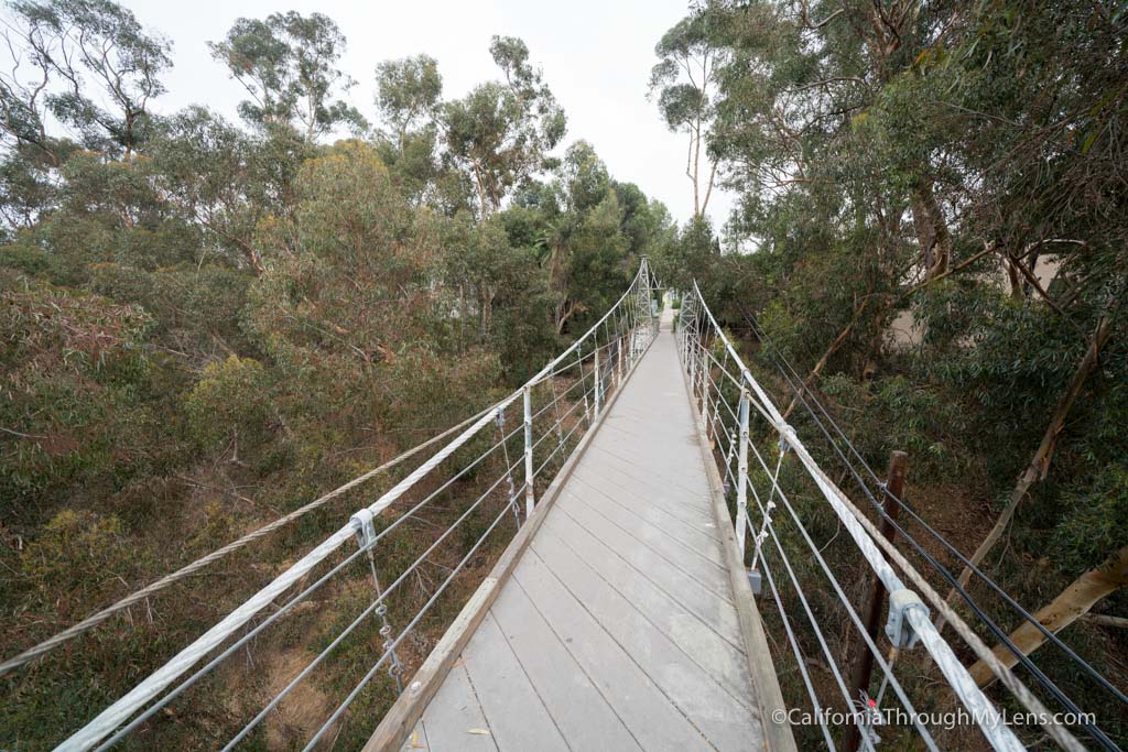 spruce street suspension bridge