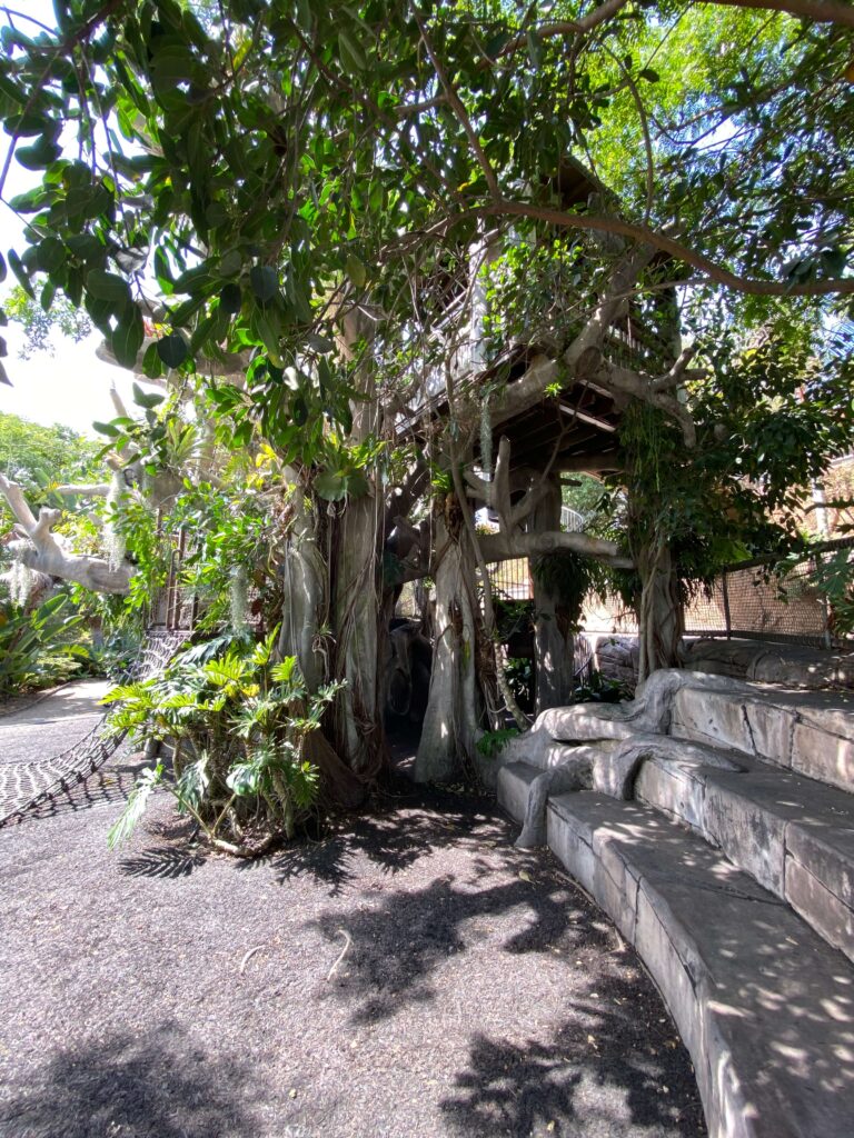 Treehouse at the San Diego Botanical garden
