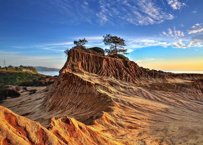 Torrey Pines State Park 