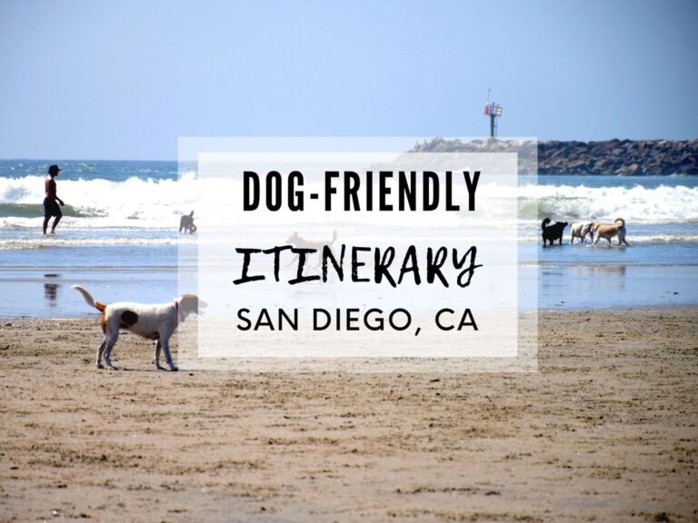 Dog-friendly Hikes in San Diego