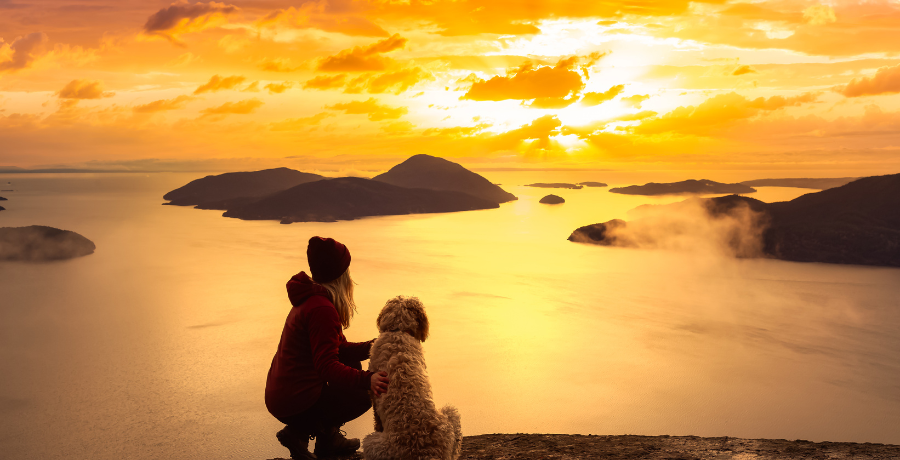 dog and owner staring at the sunset over the water