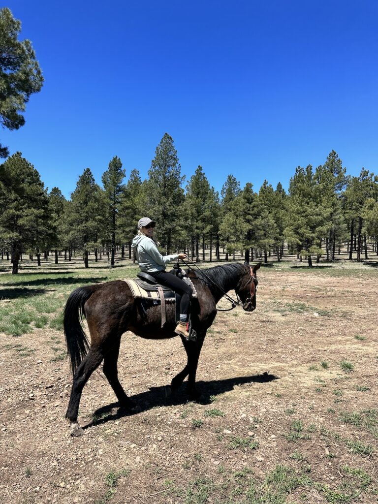 horeseback riding at backland glamping resort