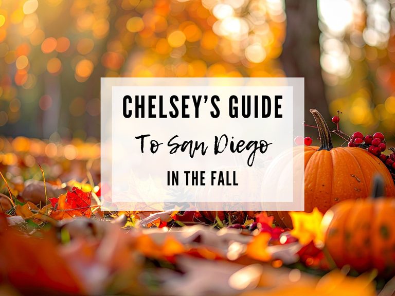 The Ultimate Guide to Fall in San Diego: Pumpkin Patches, Apple Picking, Halloween & More