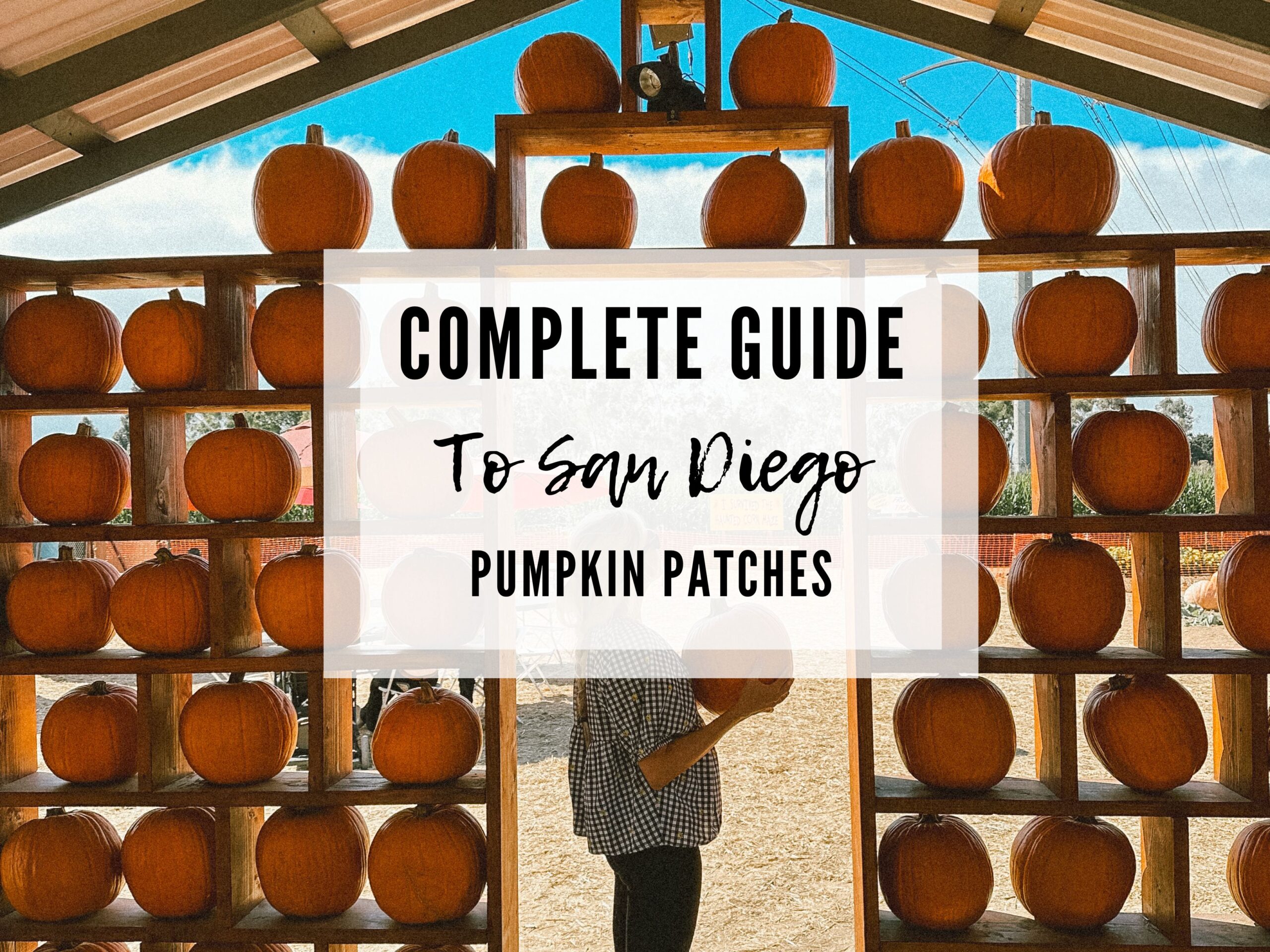 The Best Pumpkin Patches in San Diego: The Ultimate Family Guide